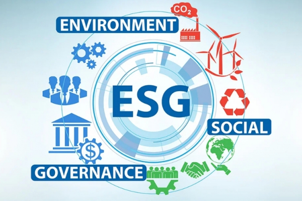ESG: Çevresel, Sosyal ve Yönetişim Nedir?
