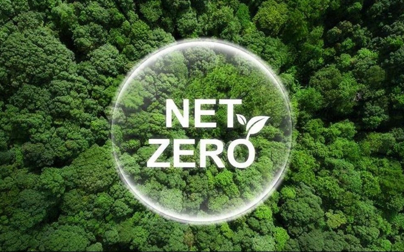 What is the difference between net zero and carbon neutral?